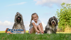 Hyper Around Children: Why Dogs Become Hyper Around Children