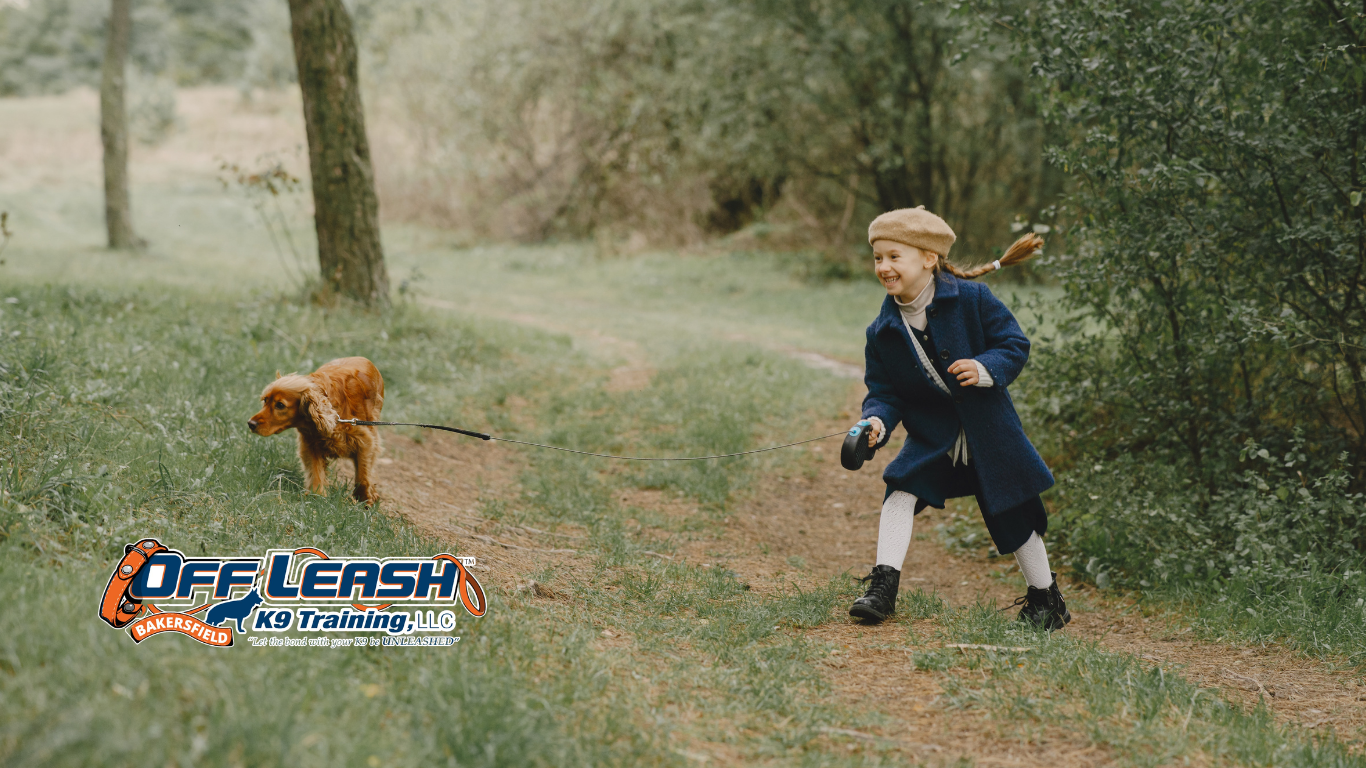Hyper Around Children: Why Dogs Become Hyper Around Children