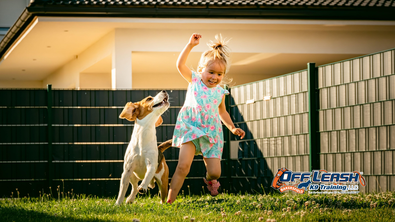 Chase Running Children: Why Does My Dog Chase Running Children?
