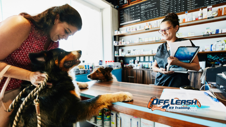 Better Greeting Manners: Why Dogs Need Better Greeting Manners