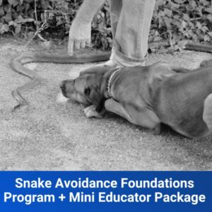 Snake Avoidance Foundations Program + Mini Educator Package