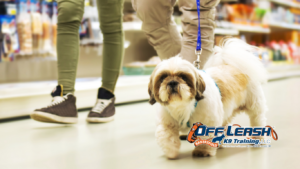 Struggle Near Shopping Centers: Why Dogs Struggle Near Shopping Centers