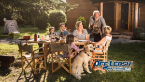 Bark During Family Meals: Why Dogs Bark During Family Meals