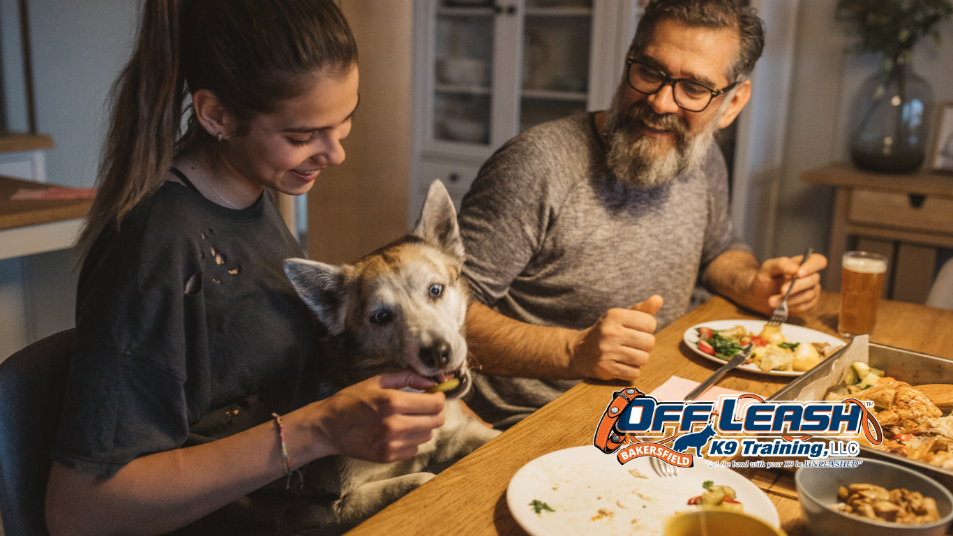 Bark During Family Meals: Why Dogs Bark During Family Meals