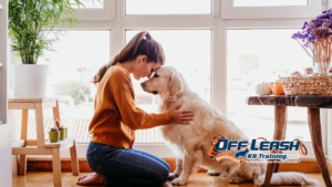 Teach a Dog to Relax at Home: A Complete Guide to Creating a Calm, Well-Behaved Dog