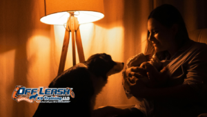 Trouble Settling at Night: Why Dogs Have Trouble Settling at Night