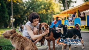 Better Behavior in Public Places: Why Dogs Need Better Behavior in Public Places