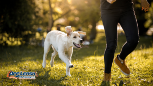 Why Puppies Chase Feet: Understanding and Stopping Foot Chasing Behavior