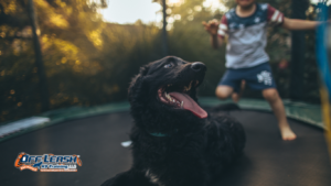 Why Puppies Jump on Children: Understanding and Stopping Jumping Behavior