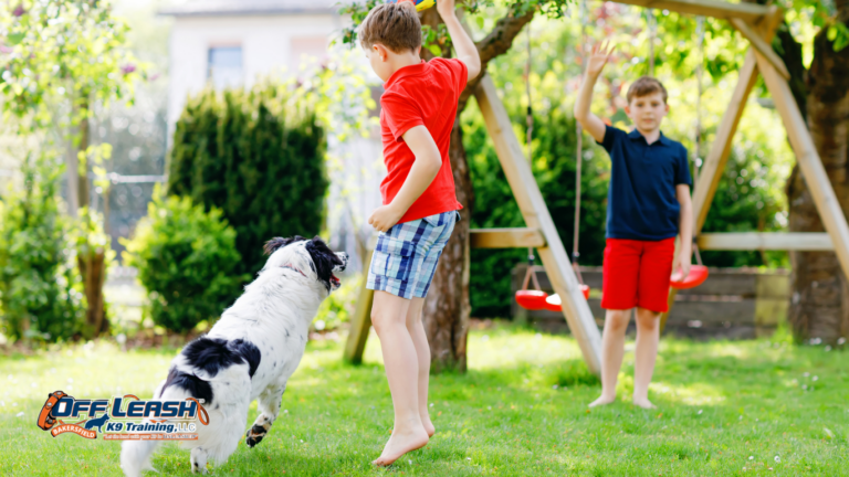 Why Puppies Jump on Children: Understanding and Stopping Jumping Behavior