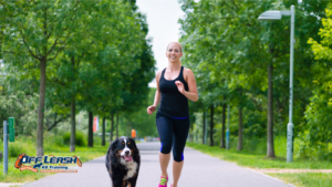 Teaching Dogs Healthy Coping Skills: Helping Dogs Handle Stress with Confidence