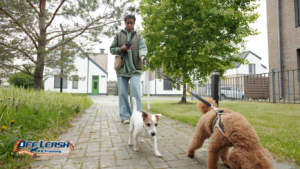 Why Dogs Struggle to Walk Beside Their Owners: Building Better Leash Manners