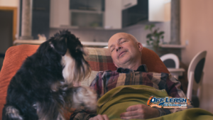 Common Owner Mistakes
When dogs follow owners from room to room, the behavior is easy to reinforce without realizing it. Most owners are not doing anything wrong intentionally. They are simply responding naturally to a dog that wants to stay close.
Understanding how these habits develop can make it easier to encourage healthier independence.
Rewarding Constant Following
If a dog follows the owner and immediately receives attention, treats, or play, following becomes valuable.
For example:
Owner stands → dog follows → owner pets dog.
The dog learns that staying close produces rewards.
Instead of rewarding every instance of following, owners can also reward the dog for remaining settled independently.
Giving Attention Every Time the Dog Approaches
Dogs naturally seek interaction.
However, responding to every approach can create a pattern where the dog expects constant engagement.
Owners can balance attention with opportunities for independent activities such as:
Chewing
Resting
Sniffing
Food puzzles
Relaxation exercises
Expecting Independence Too Quickly
A dog that has followed their owner for years will not necessarily become comfortable relaxing alone after a few training sessions.
Independence should develop gradually.
Start with short periods of separation that the dog can handle successfully.
Ignoring Signs of Distress
There is an important difference between a dog that simply wants to follow and a dog that becomes distressed when unable to do so.
Watch for:
Persistent whining
Pacing
Scratching
Destructive behavior
Excessive barking
Inability to settle
If these behaviors occur, increasing separation abruptly may make the problem worse.
Using Punishment to Create Distance
Telling a dog to "go away" or punishing them for following can create confusion.
The dog may not understand what behavior is expected instead.
Teaching an alternative such as Place gives the dog a clear, rewarding behavior to perform.
Teaching Dogs to Relax Without Following
The goal of independence training is not to make dogs less attached to their owners.
It is to teach them that they can be comfortable even when their owner is moving around the home.
Teach Place
Place training can provide a predictable location for relaxation.
Begin by rewarding the dog for going to their bed or mat.
Then gradually practice while you:
Stand up
Walk across the room
Enter another room
Perform household activities
Return
Reward the dog for remaining calm.
Practice Short Separations
Start with very small distances.
For example:
Dog settles → owner takes two steps away → owner returns → reward.
Once that becomes easy, gradually increase the challenge.
The dog learns that the owner leaving temporarily is predictable and safe.
Reward Independent Choices
Pay attention to moments when your dog chooses independence without being asked.
Maybe they:
Lie down in another room
Relax on their bed
Chew a toy independently
Rest while you work
Stay settled while you prepare food
These are excellent opportunities for reinforcement.
Create a Relaxation Routine
A predictable routine can help dogs understand when it is time to settle.
For example:
Walk → enrichment → Place → quiet rest.
Over time, the dog learns that not every period of the day needs to involve active interaction.
Provide Appropriate Enrichment
Some dogs follow because they are bored.
Providing appropriate mental activities can encourage independent engagement.
Options include:
Food puzzles
Snuffle activities
Safe chews
Scent games
Training exercises
Appropriate toys
The activity should be suitable for the individual dog and supervised when necessary.
Avoid Creating Constant Excitement
If every owner movement predicts something exciting, the dog has a reason to monitor every movement.
Sometimes the owner should simply move around without initiating an activity.
This helps normalize ordinary household movement.
Follow Owners in Bakersfield
For Bakersfield dog owners, a dog that constantly follows owners can become especially noticeable during busy household routines.
Dogs may follow family members while they:
Prepare meals
Move between rooms
Get ready for work
Complete household chores
Answer the door
Prepare for walks
Interact with visitors
Professional dog training can help families determine whether the behavior is normal attachment, learned attention-seeking, boredom, or difficulty with independence.
Training can focus on:
Place training
Relaxation
Impulse control
Independent enrichment
Household manners
Confidence building
Calm transitions
The goal is to create a dog that can enjoy family interaction without feeling that they need to monitor every movement.
Long-Term Benefits of Healthy Independence
Teaching dogs to relax independently can provide benefits throughout their lives.
Greater Confidence
Dogs learn that they can be comfortable without constant physical proximity to their owners.
This can make everyday changes easier to handle.
Better Relaxation
A dog that knows how to settle independently can spend more time resting instead of constantly monitoring household activity.
Improved Household Manners
Independent dogs are often easier to manage during:
Meals
Work hours
Household chores
Family gatherings
Quiet evenings
Better Emotional Regulation
Learning to remain calm when an owner moves away strengthens the dog's ability to regulate emotions.
This skill can transfer to other situations.
Stronger Owner-Dog Relationship
Healthy independence does not weaken the bond between dog and owner.
In many cases, it creates a more balanced relationship because the dog can enjoy closeness without becoming dependent on constant interaction.
Frequently Asked Questions
1. Why does my dog follow me everywhere?
Dogs may follow because they enjoy companionship, expect rewards, are curious about household activity, or feel more secure near their owners. The behavior is often completely normal.
2. Is it bad if my dog follows me from room to room?
Not necessarily. Following becomes more concerning when the dog cannot relax independently or becomes distressed whenever physical separation occurs.
3. Does following me mean my dog has separation anxiety?
No. Following alone does not establish separation anxiety. The dog's behavior when actually separated from their owner is much more informative.
4. How can I teach my dog to stay in one room?
Start with short periods of calm independence. Use Place training, enrichment, and rewards for remaining settled while you move around.
5. Should I ignore my dog when they follow me?
You do not need to completely ignore your dog. Instead, balance social interaction with rewards for independent relaxation.
6. Why does my dog immediately get up when I move?
Your movement may have become a predictor of something rewarding, such as food, walks, attention, or going outside. It can also simply be a learned habit.
7. Can puppies learn independence?
Yes. Puppies benefit from learning both social connection and age-appropriate independent relaxation. Short, positive periods of independence can help build confidence.
8. What if my dog becomes anxious when I leave the room?
Begin with very short separations that remain below the dog's distress threshold. If the dog shows significant anxiety, professional behavior guidance can help determine an appropriate training plan.
9. Does crate training help dogs become more independent?
A properly introduced crate can provide a safe resting space, but crate training should be positive and gradual. A crate should not be used simply to force a distressed dog to tolerate separation.
10. When should I seek professional dog training?
Consider professional help if following is accompanied by significant anxiety, destructive behavior, persistent vocalization, inability to settle, or distress when separated. A professional can help identify the underlying cause and develop an individualized plan.
Comprehensive Conclusion
When dogs follow owners from room to room, the behavior is often a normal expression of social attachment, curiosity, or learned anticipation. Dogs naturally want to know what their family members are doing, and staying nearby can provide companionship and access to rewarding activities.
The important distinction is whether the dog can also relax independently.
A dog that casually follows their owner into the kitchen and then settles on the floor is very different from a dog that becomes distressed whenever their owner moves out of sight. Understanding this difference prevents owners from treating normal attachment as a problem while also recognizing when additional support may be appropriate.
Healthy independence can be taught gradually. Place training, predictable routines, enrichment, short periods of separation, and rewards for independent relaxation all help dogs discover that being alone for a short period can be safe and rewarding.
Owners should also avoid accidentally reinforcing constant shadowing. If every instance of following results in attention, food, play, or another exciting activity, the dog has a strong reason to continue monitoring their owner. Providing rewards for calm independent behavior creates a more balanced pattern.
For Bakersfield families, these skills can make everyday household life easier. Dogs that can settle while their owners cook, work, clean, move between rooms, or interact with guests are generally easier to manage and less likely to become overwhelmed by normal household activity.
Ultimately, the goal is not to make a dog distant or less affectionate. Healthy independence and a strong bond can exist together. A confident dog can happily spend time beside their owner and also choose to rest on their own when nothing interesting is happening.
With patience, consistency, positive reinforcement, and gradual practice, dogs can learn an important life skill: their owner can move away, and they can remain calm, comfortable, and secure.