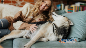 Why Dogs Follow Owners From Room to Room: Understanding Clingy and Shadowing Behavior