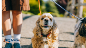 How Bakersfield Dog Owners Can Prevent Cruelty & Heartworm This Spring