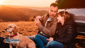 How to Teach a Reactive Dog to Disengage From Triggers
