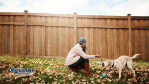 How to Train a Dog to Stay Calm During Household Activity
