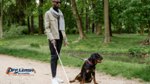 How to Teach Your Dog to Follow Directions Without Being Physically Guided