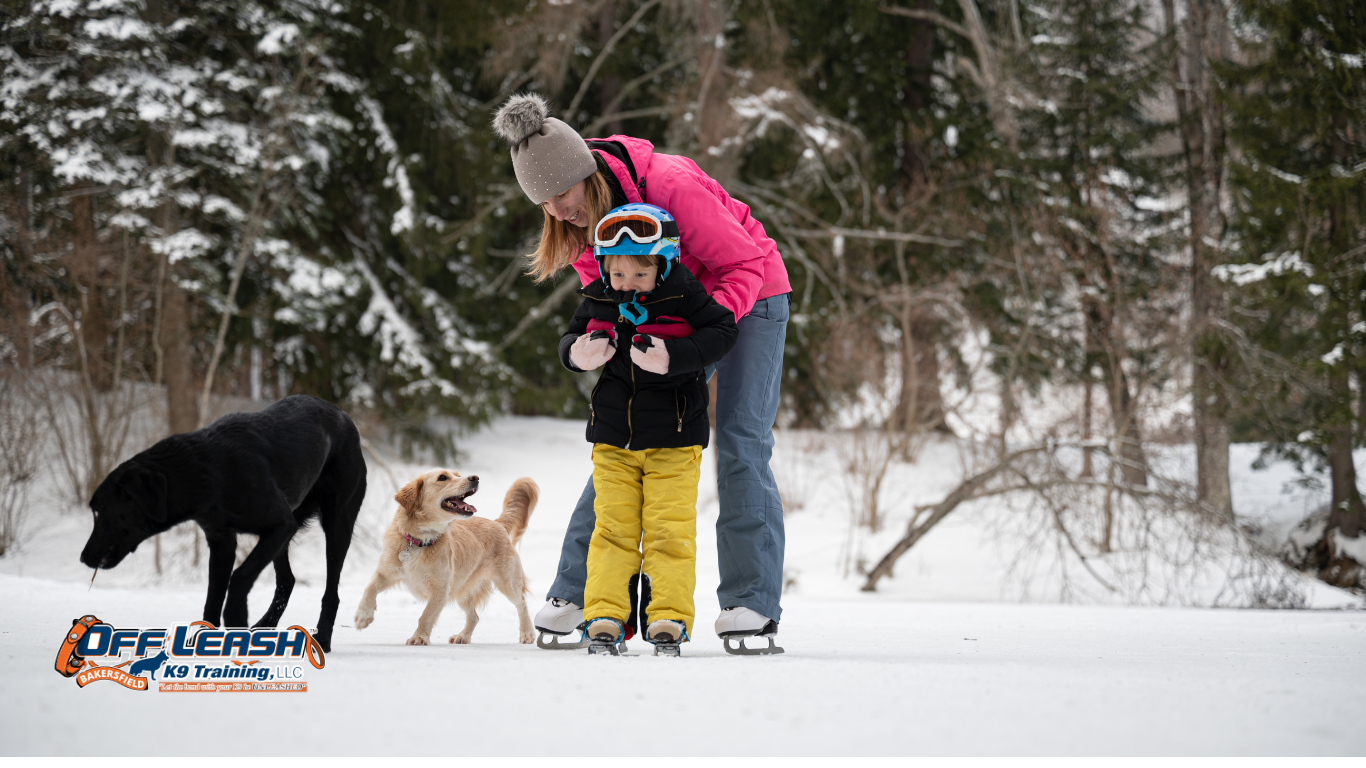 How to Teach Your Dog to Move Away From Something Tempting