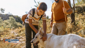 How to Teach Your Dog to Stay Calm When You Stop Walking