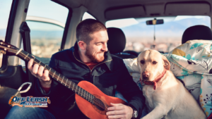 How to Teach Your Dog to Follow a Routine Without Becoming Overexcited